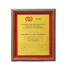WAGE 2007
